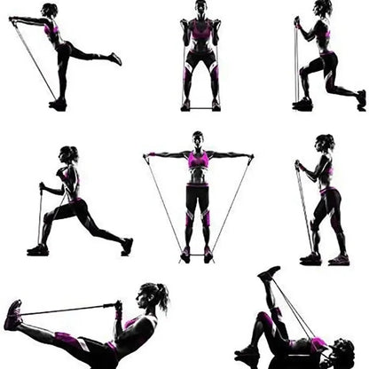 Resistance Bands with Handles for Home Workout, Strength Training Exercise Bands for Men and Women, Gym Fitness Equipment